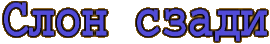 Cлон cзади Cлон cзади